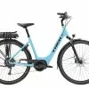 Trek Verve+ 2 Lowstep (2022)