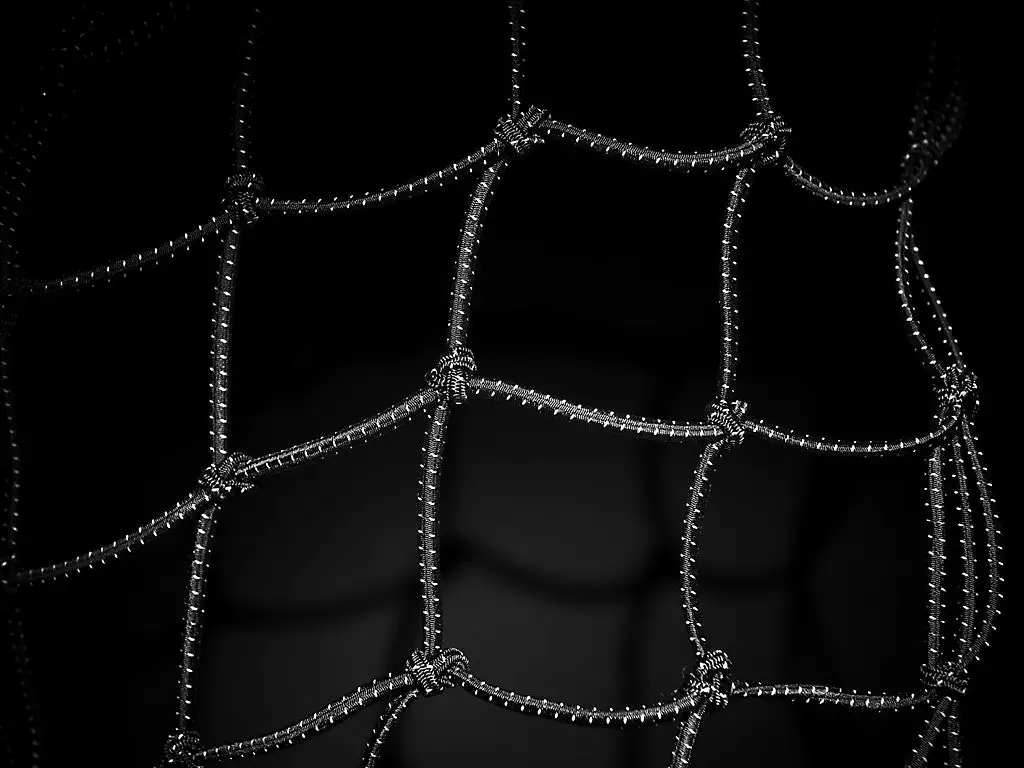 Electra Korin Verkko - Image 2