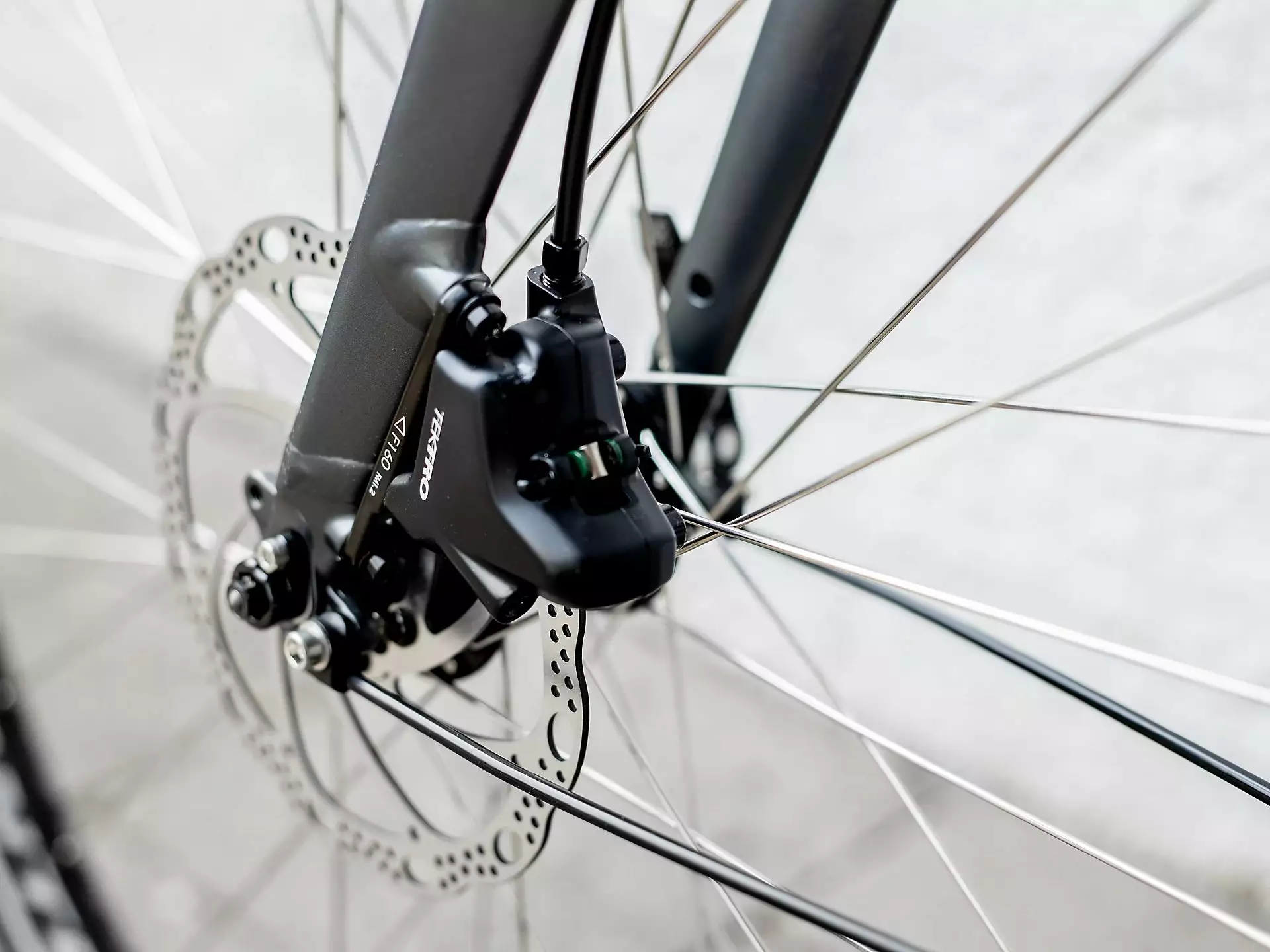 Trek FX 2 Disc Equipped (2023) - Image 10