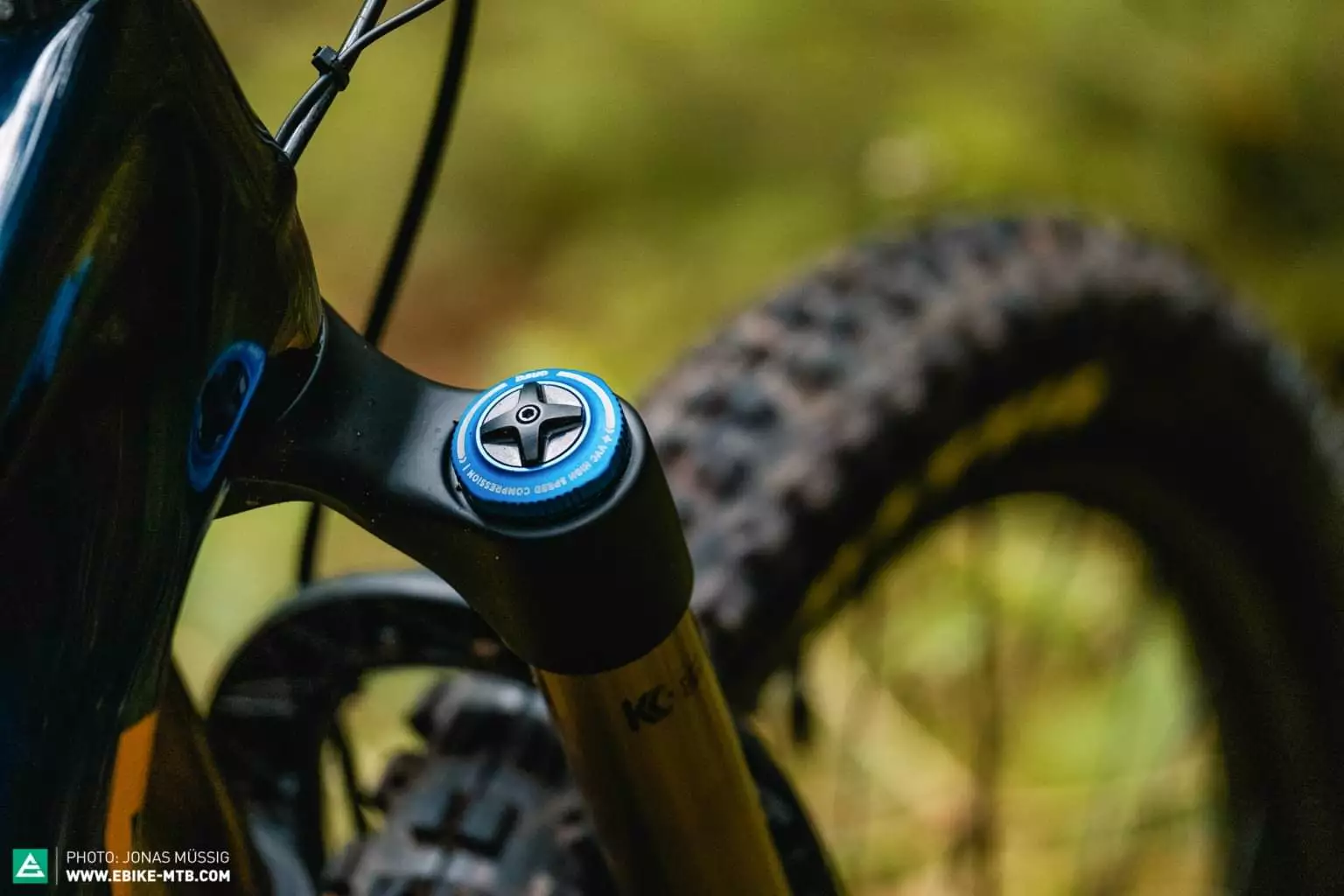 Orbea Rise M20 (2021) - Image 2